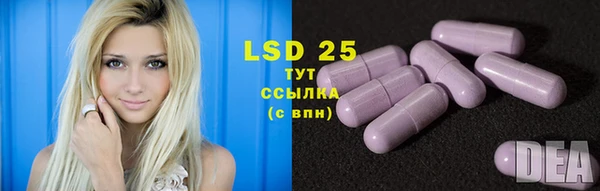 винт Верея