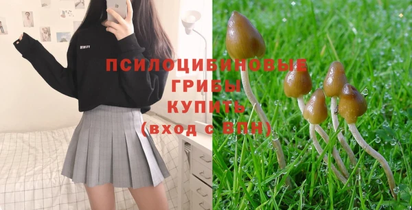 винт Верея